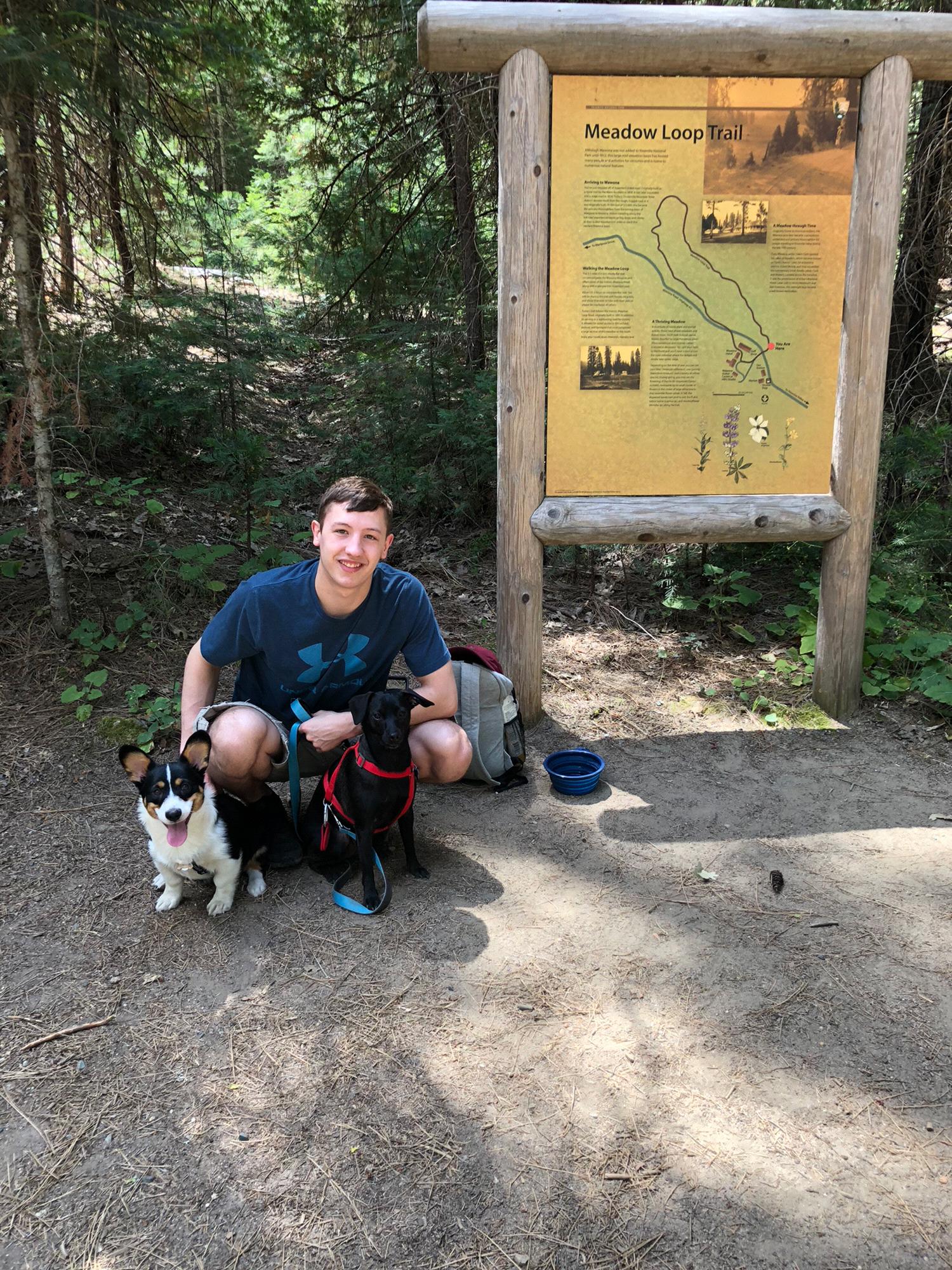 Yosemite 
2019