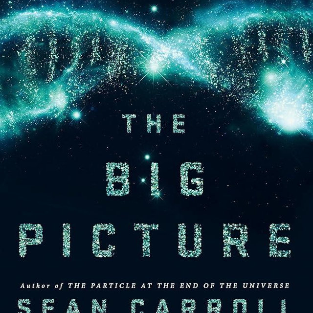 The Big Picture: On the Origins of Life, Meaning, and the Universe Itself