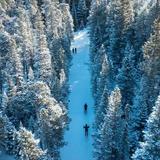 Ski or Snowboard - Nearest Ski Area - Eldora (1.5 hours from Estes)