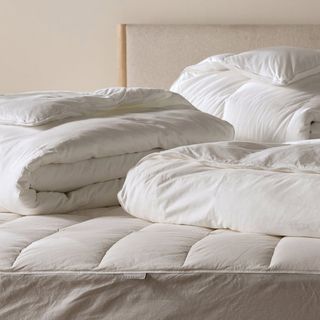 Down Duvet Insert