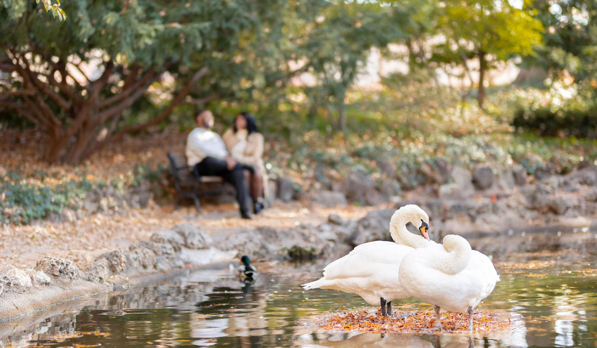 Hero Slideshow Image 5