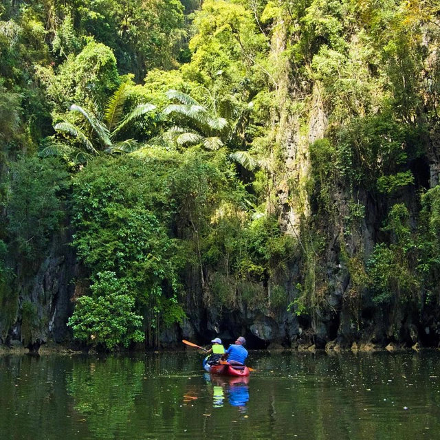 Mangrove Forest Kayak Adventure