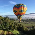 Napa Valley Aloft Hot Air Balloon Rides