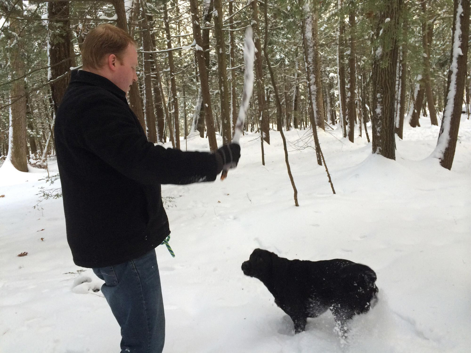 One of Ben's first outings with Guinness in Baxter Woods.