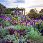 Botanical Gardens