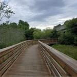 Big Creek Greenway- Halcyon Trailhead