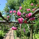 Old Westbury Gardens