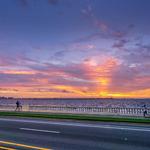 Bayshore Boulevard