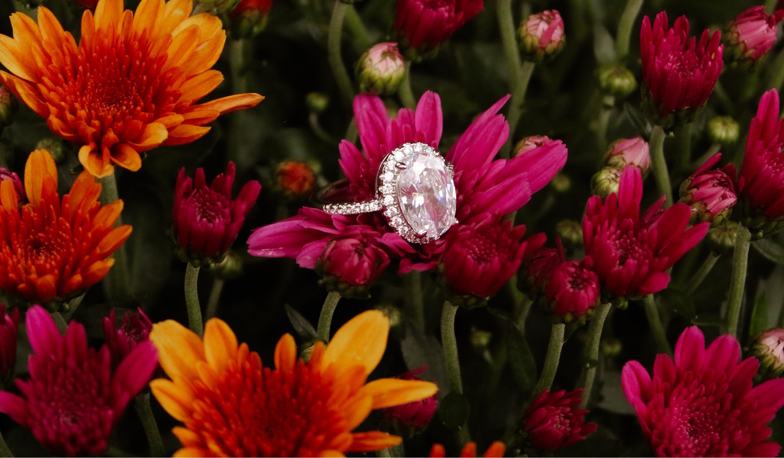 The Wedding Website of Adriann Green and Dylan Green