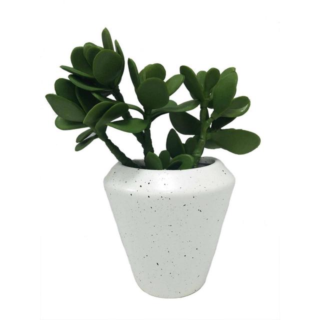 Large Hanging Succulents Wall Sculpture Gray - Project 62™