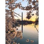 The National Mall