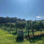 Crystal Ridge Winery