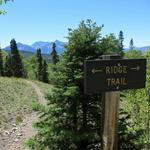 Coonskin Mountain via Ridge Trail