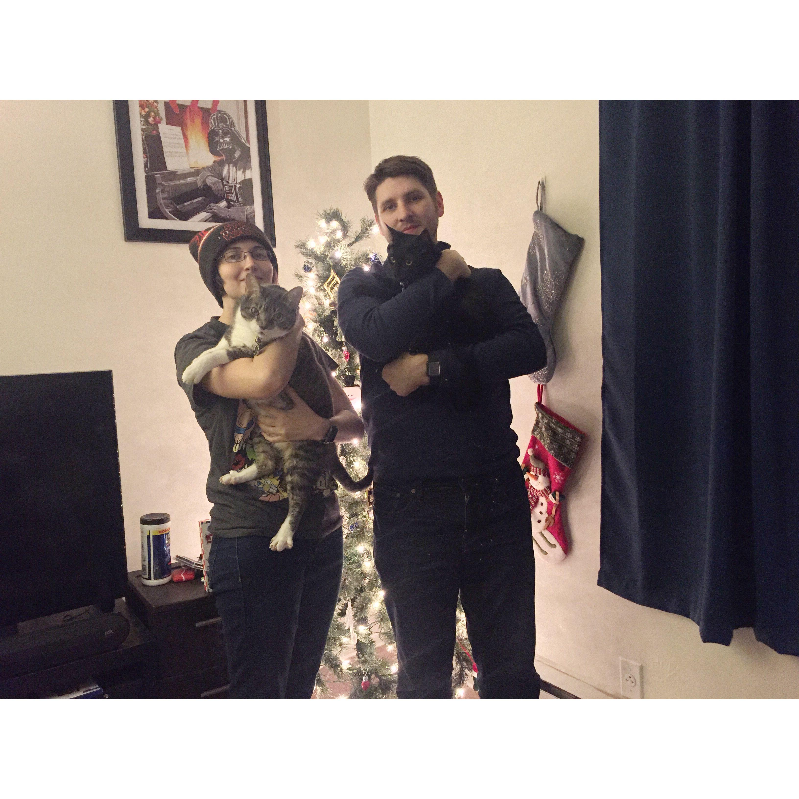 Christmas with the cats at our Heath apartment.