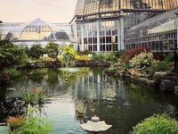 Belle Isle
