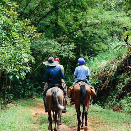Horseback Riding On Our Honeymoon