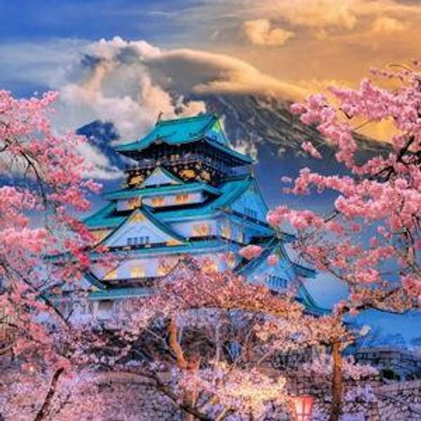 Honeymoon in Japan Fund