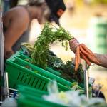 The Dalles Farmers Market