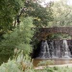 Reynolda Walking Trail