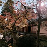 Portland Japanese Garden
