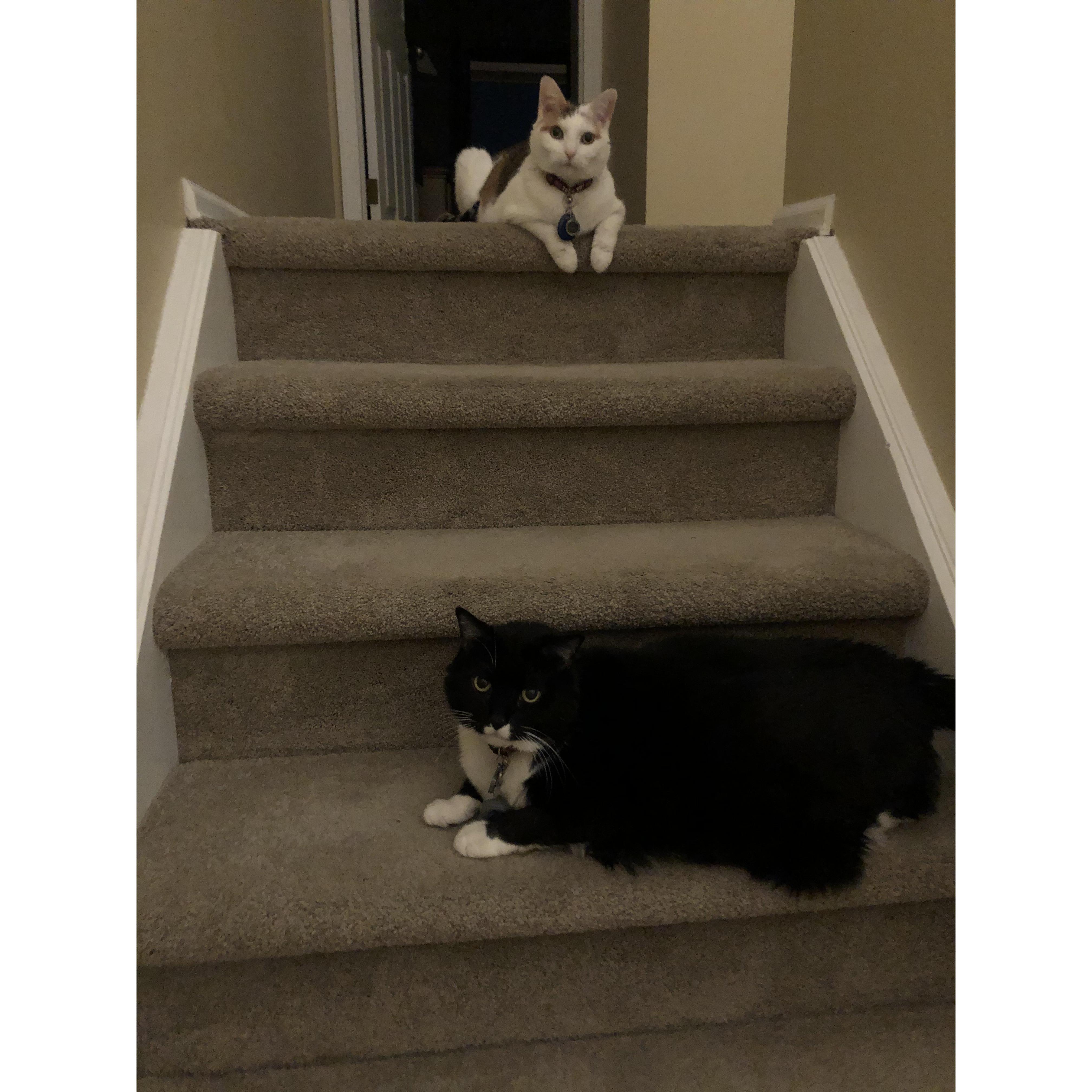Penny and Poke, because we have to share it, because we have to!