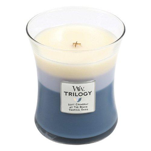 WoodWick Beachfront Cottage Trilogy Jar Candle, Medium
