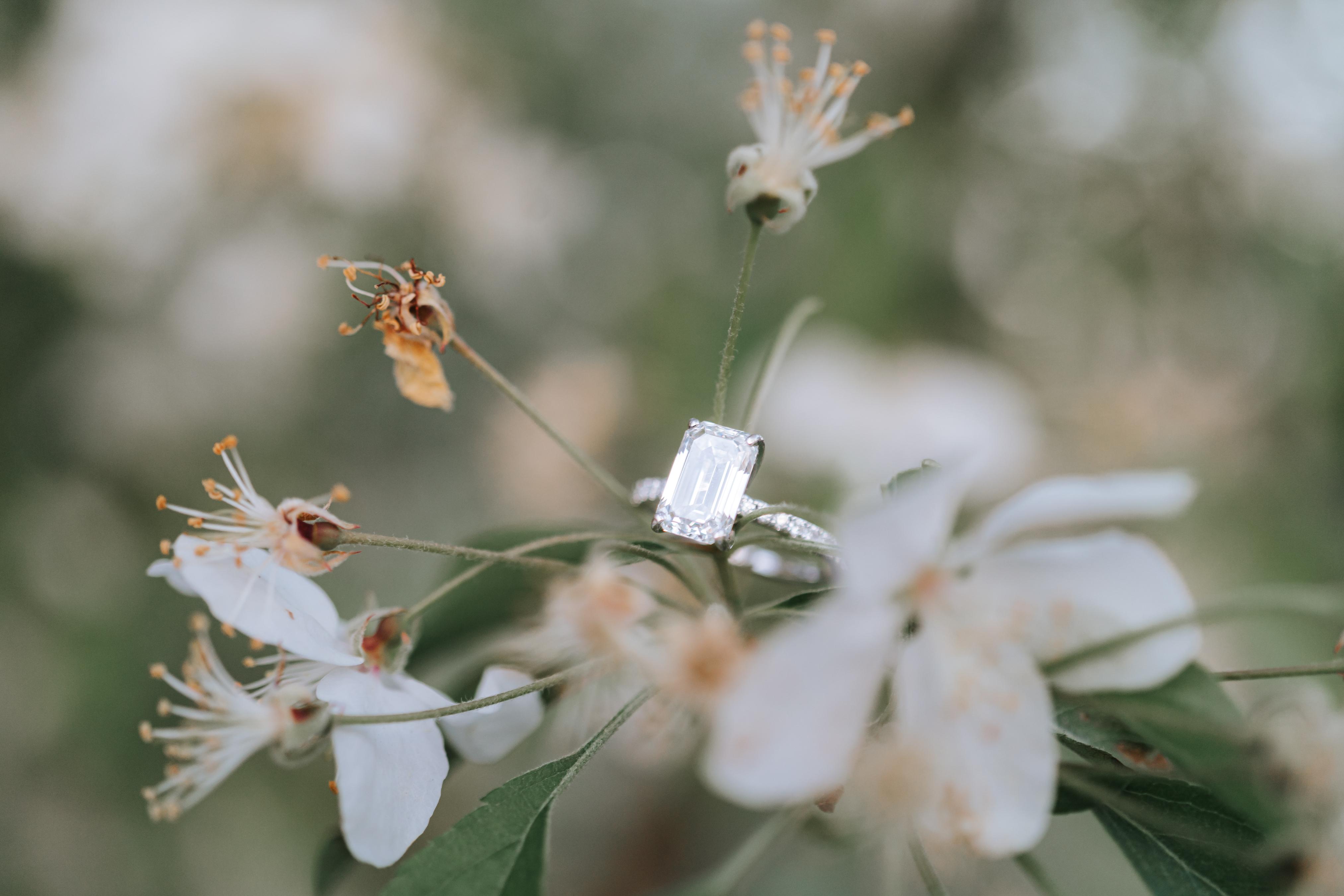 The Wedding Website of Alexander Dymersky and Flora Dakas