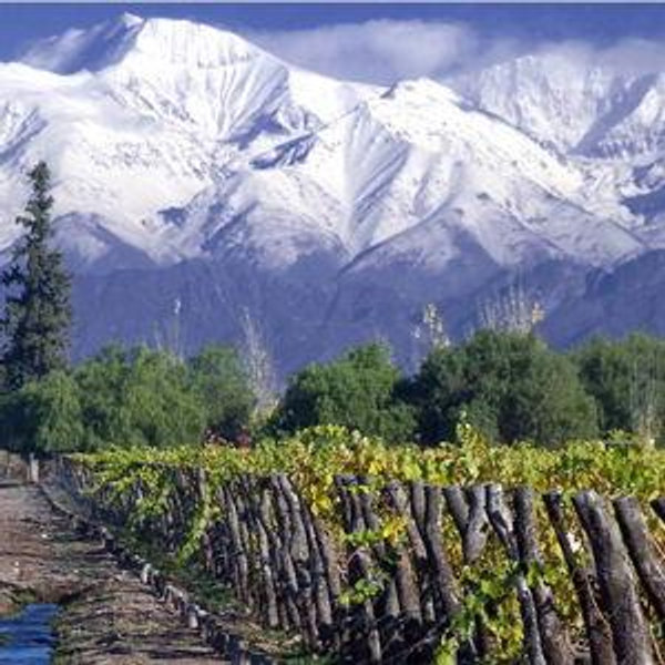 Maipo Valley Wine Tour from Santiago