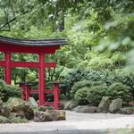 Birmingham Botanical Gardens