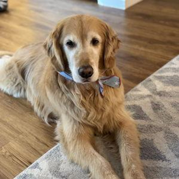 Boulder Humane Society