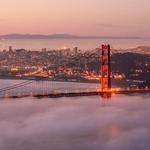 Hawk Hill