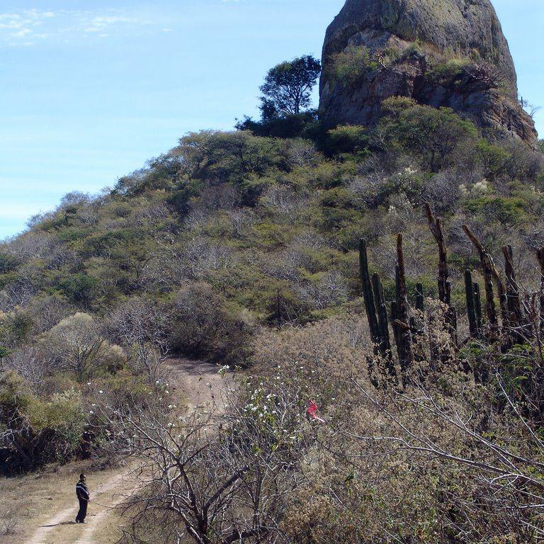 Piedra de la Tortuga