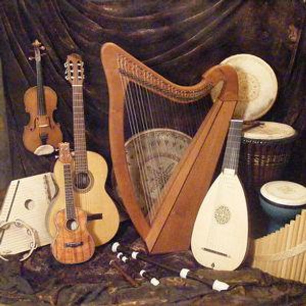 Dublin Traditional Irish Music Pub Tour
