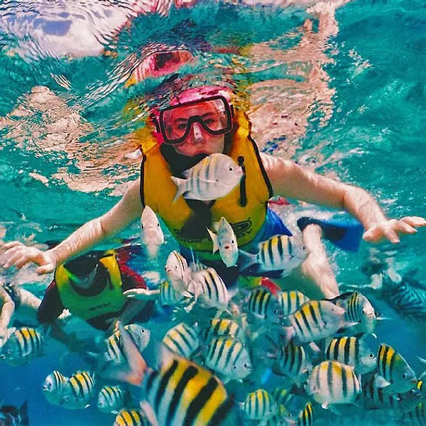 Catamarán & Reef Snorkel Honeymoon Excursion