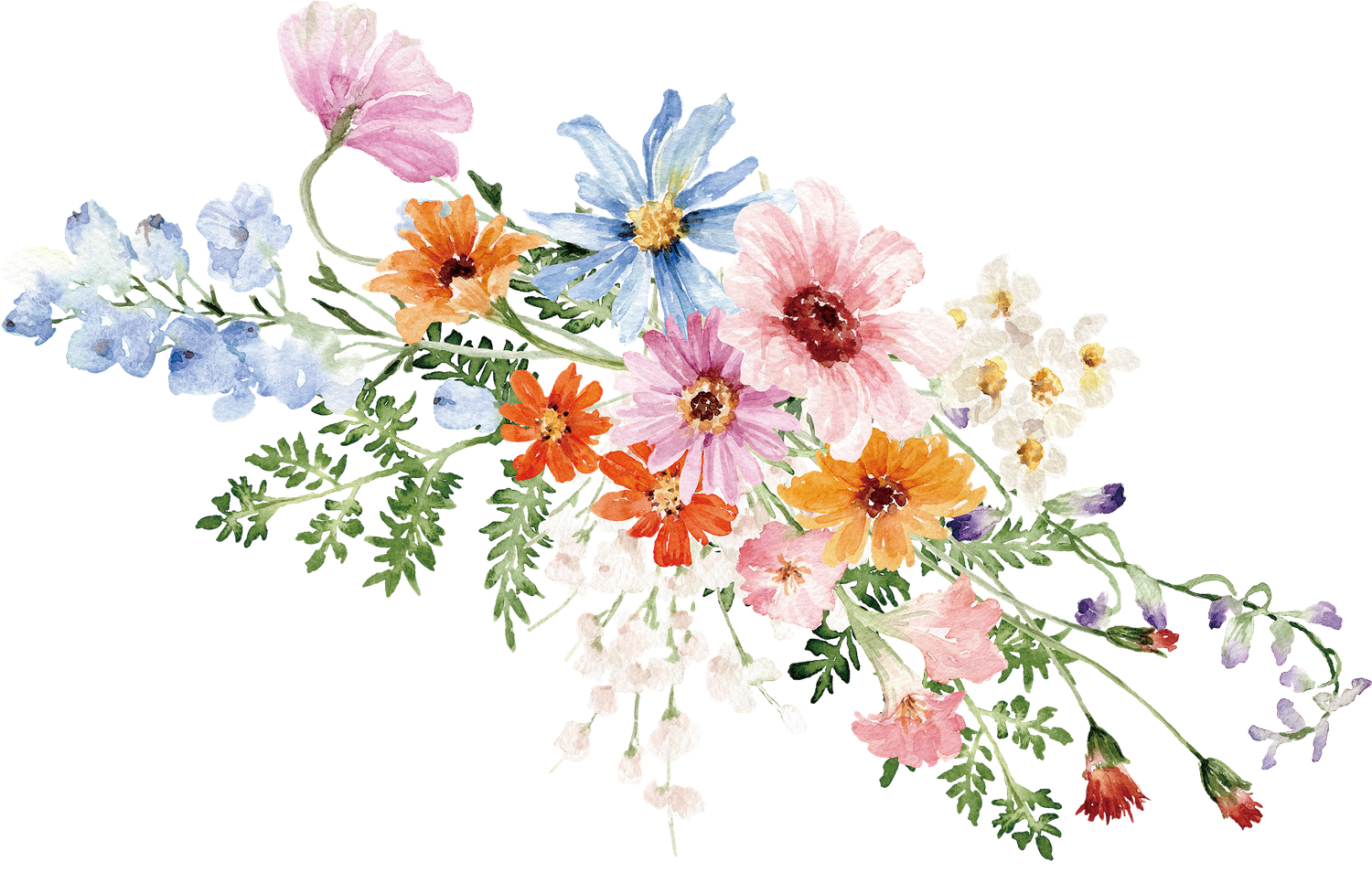 The Wedding Website of Katelen Fuller and Tucker Bird