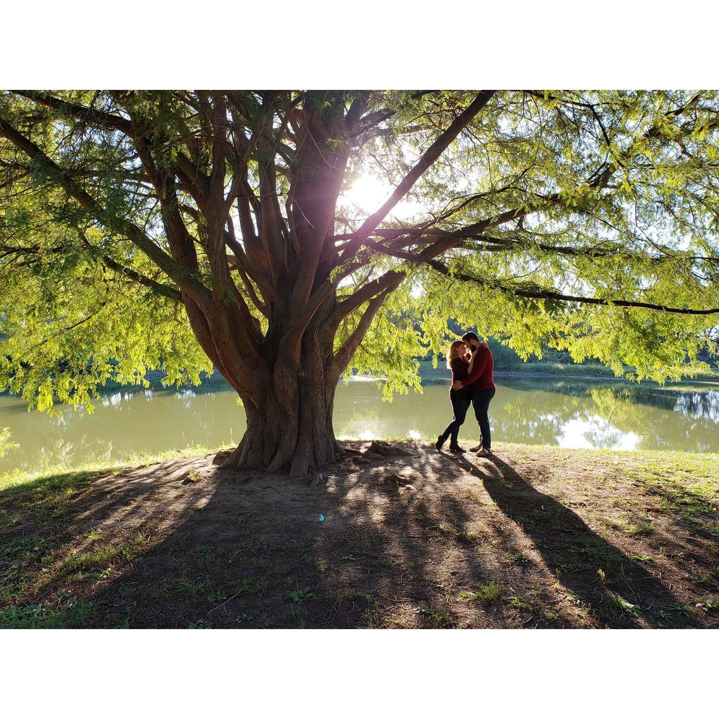 The tree we said "I love you" for the first time under.