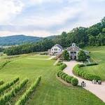 Blenheim Vineyards