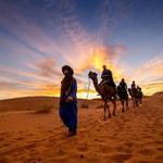 Agafay Desert, Atlas Mountains & Camel Trekking