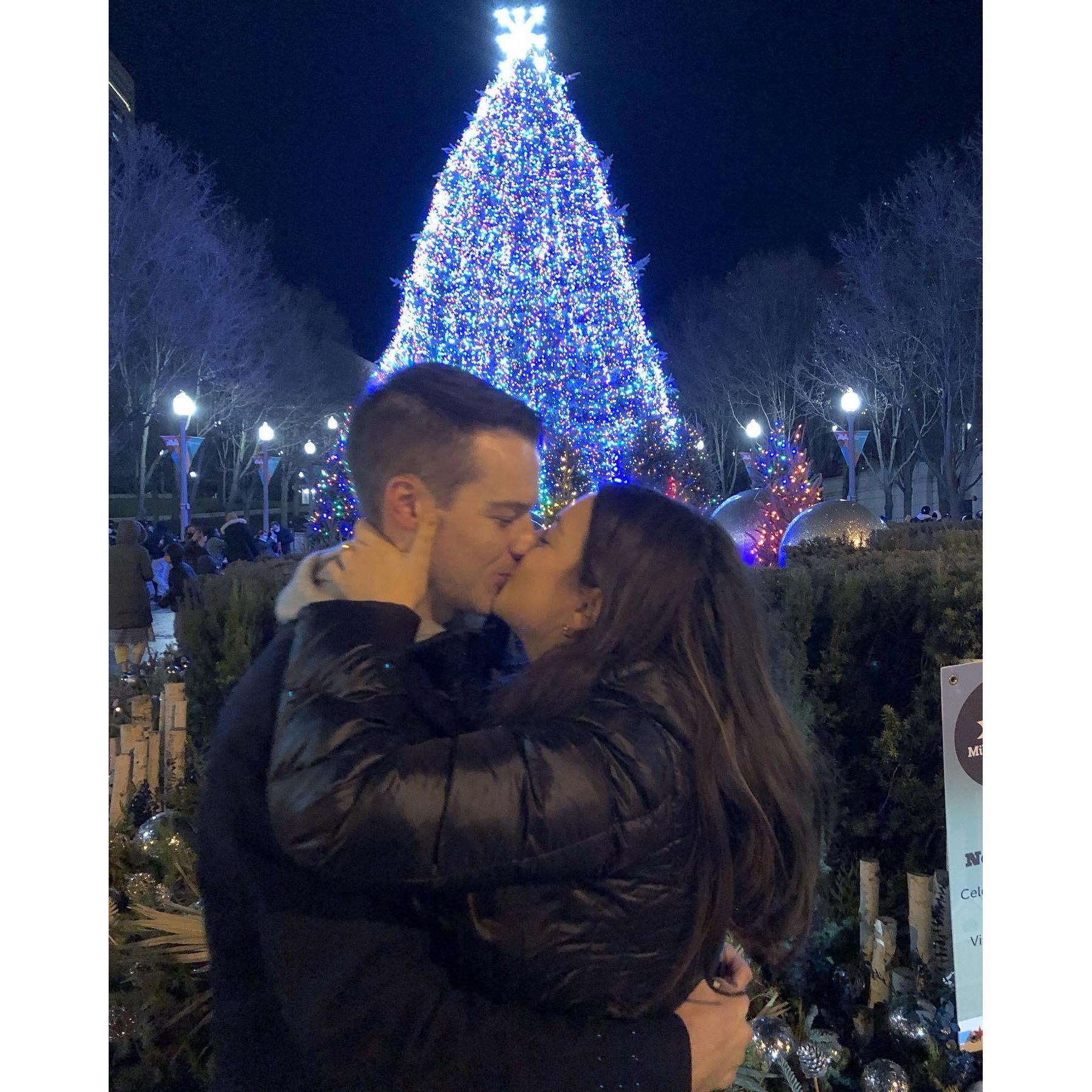The proposal December 2020