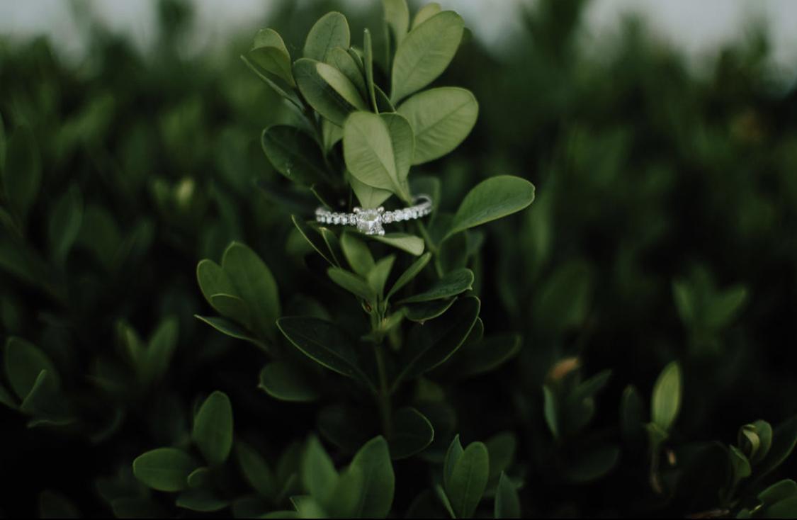 The Wedding Website of Emily McDowell and Jacob Leet