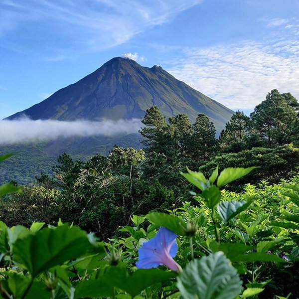 Honeymoon to Costa Rica!
