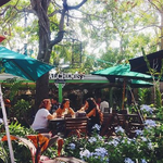 The Yard