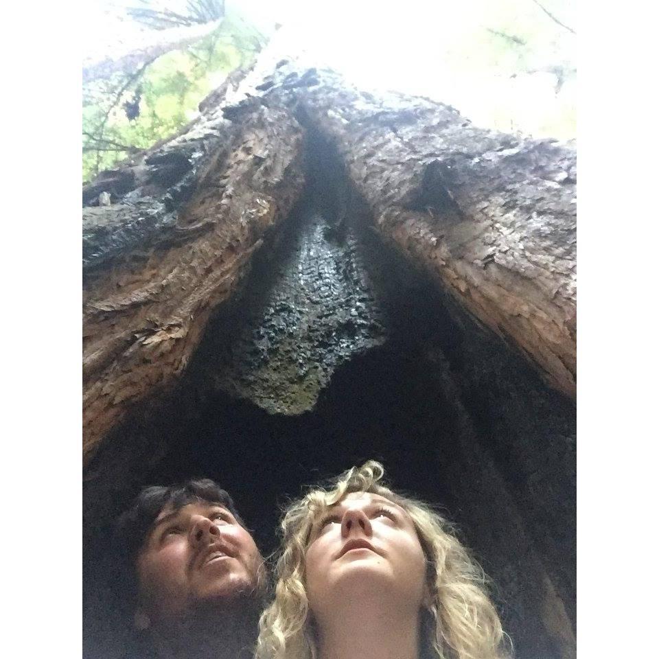First date in California when Jordan took Emily to see the redwoods - August 2016