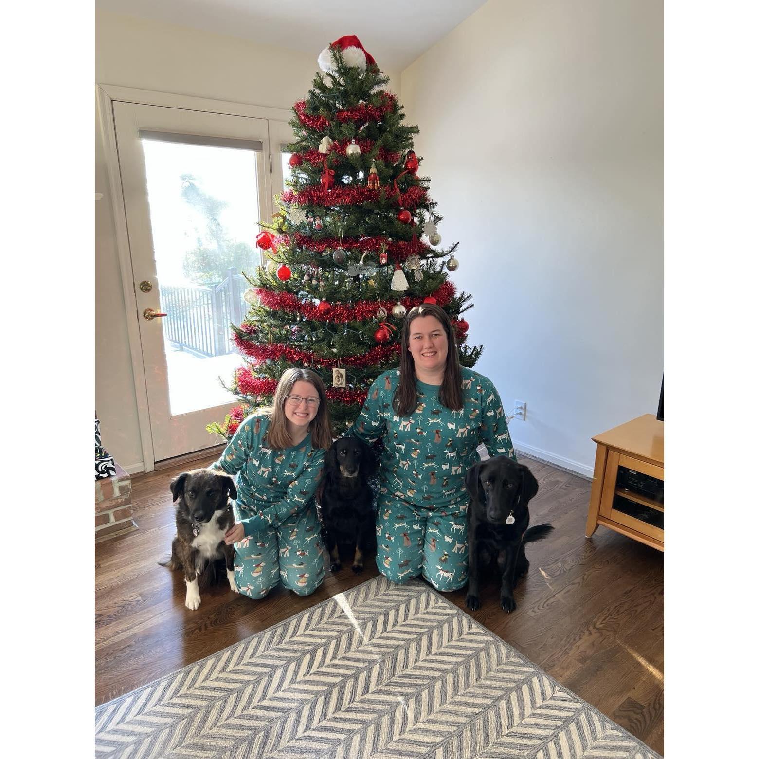 One of our annual family Christmas photos with the dogs.