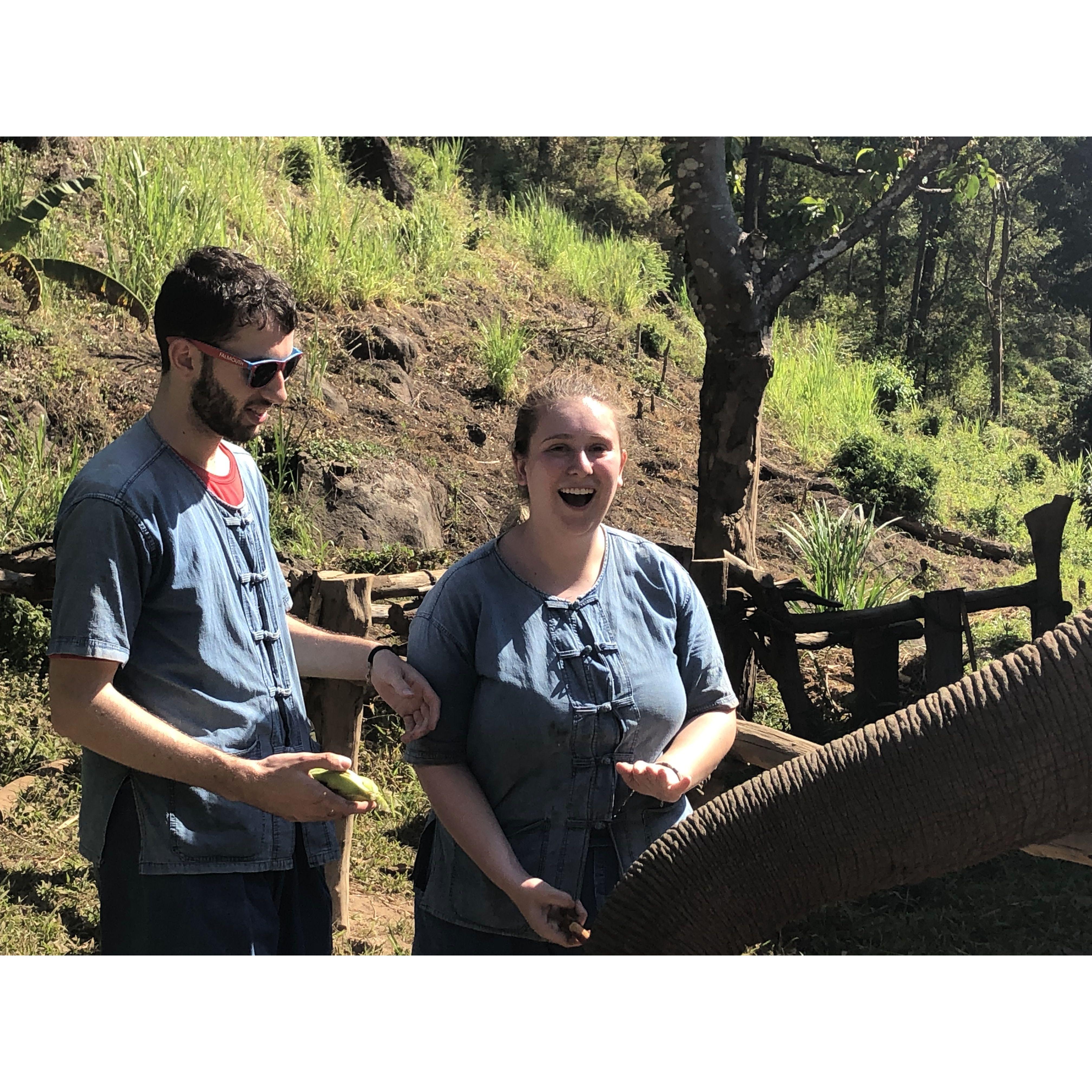 2019 - Feeding Elephants in Thailand