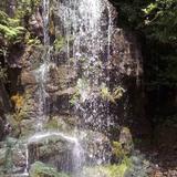 Kilfane Glen & Waterfall