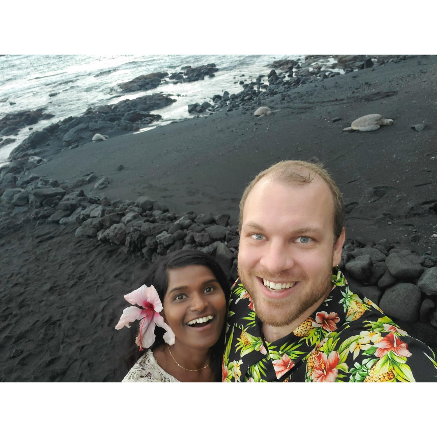 Came across turtles just chilling at the black sand beach in Hawaii