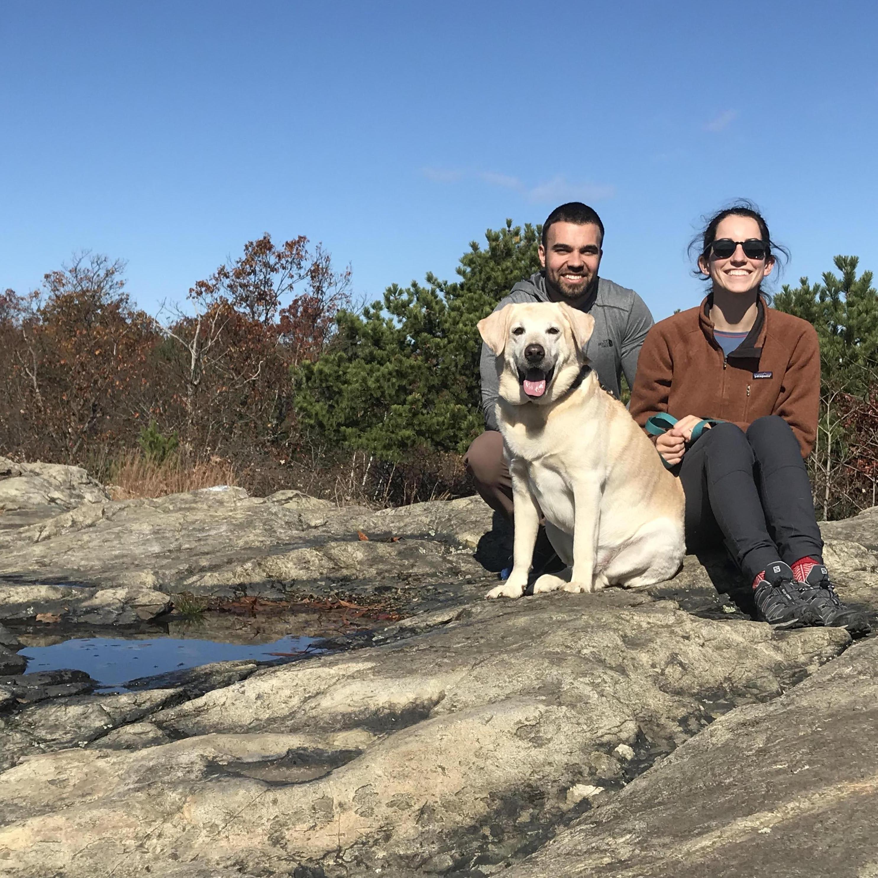 Middlesex Fells, one of our favorite dog-walking spots