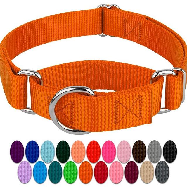 Country Brook Petz Martingale Dog Collar - Heavy-Duty Training Collar with No Buckle - Service Dog Collar for All Pups - Vibrant, Colorful Collection - Medium, Orange