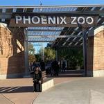 Phoenix Zoo